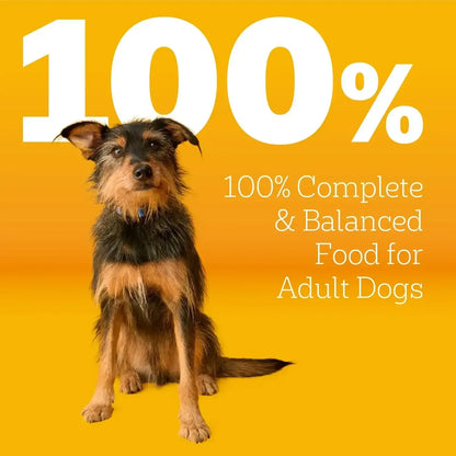 Pedigree Complete Nutrition Adult Dry Dog Food, Grilled Steak & Vegetable Flavor, 30 lb. Bag