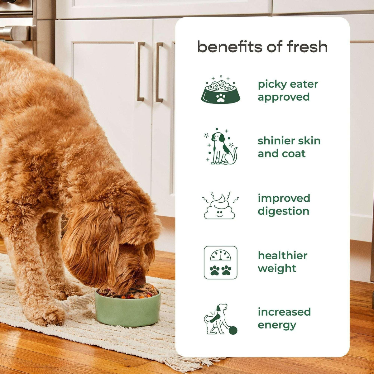 Freshpet Fresh Dog Food, Chunky Chicken & Turkey Recipe, Slice & Serve Roll, 1.5 lb.