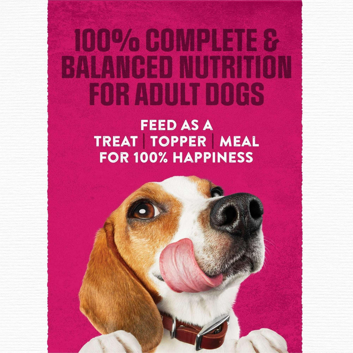 Purina Moist & Meaty Dry Dog Food, High Protein Steak Flavor with Real Beef, 6 oz Per Pouches