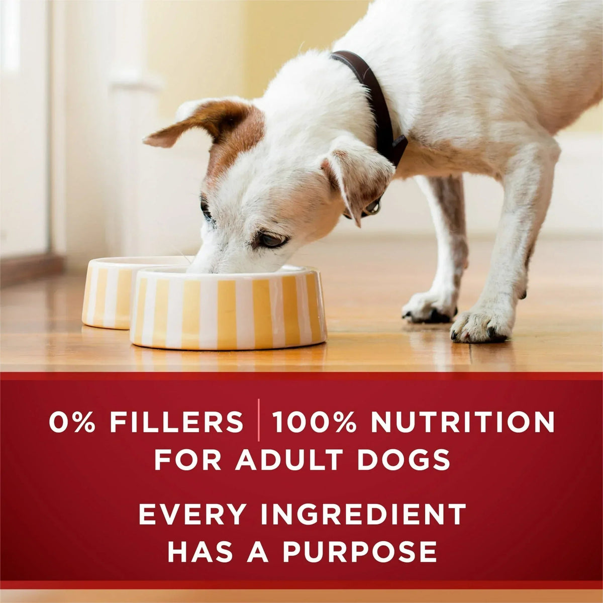 Purina ONE True Instinct Wet Dog Food, High Protein Soft Turkey & Venison, 13 oz Can