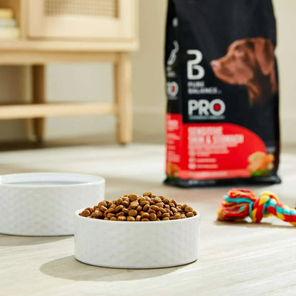 Pure Balance Pro+ Sensitive Skin & Stomach Dog Food, Salmon & Rice Recipe