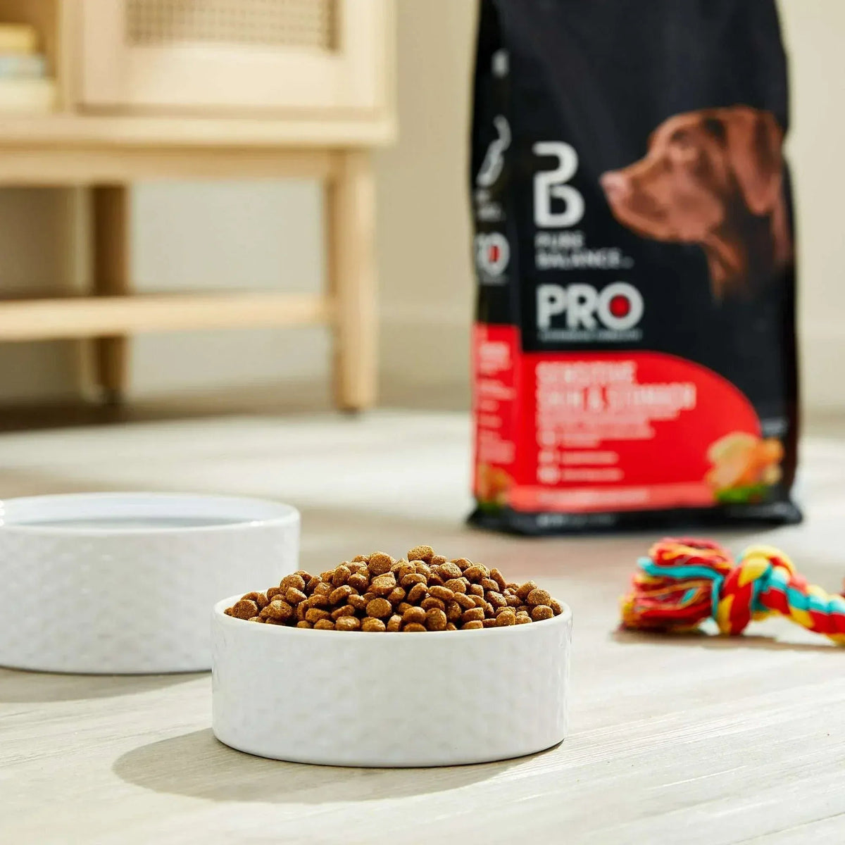 Pure Balance Pro+ Sensitive Skin & Stomach Dog Food, Salmon & Rice Recipe