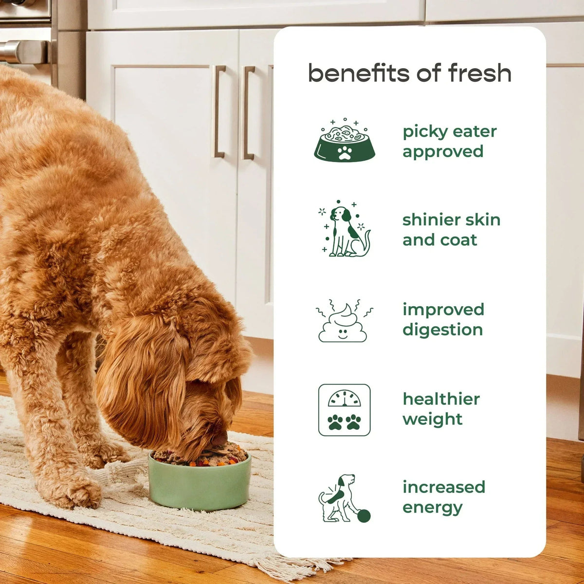 Freshpet Fresh Dog Food, Tender Chicken Recipe, Slice & Serve Roll, 1 lb.