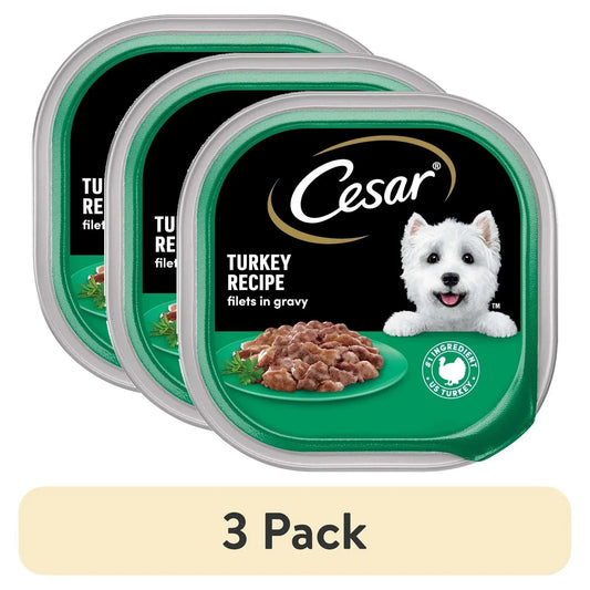 (3 pack) Cesar Filets in Gravy Turkey Recipe Flavor Adult Wet Dog Food, 3.5 oz Tray