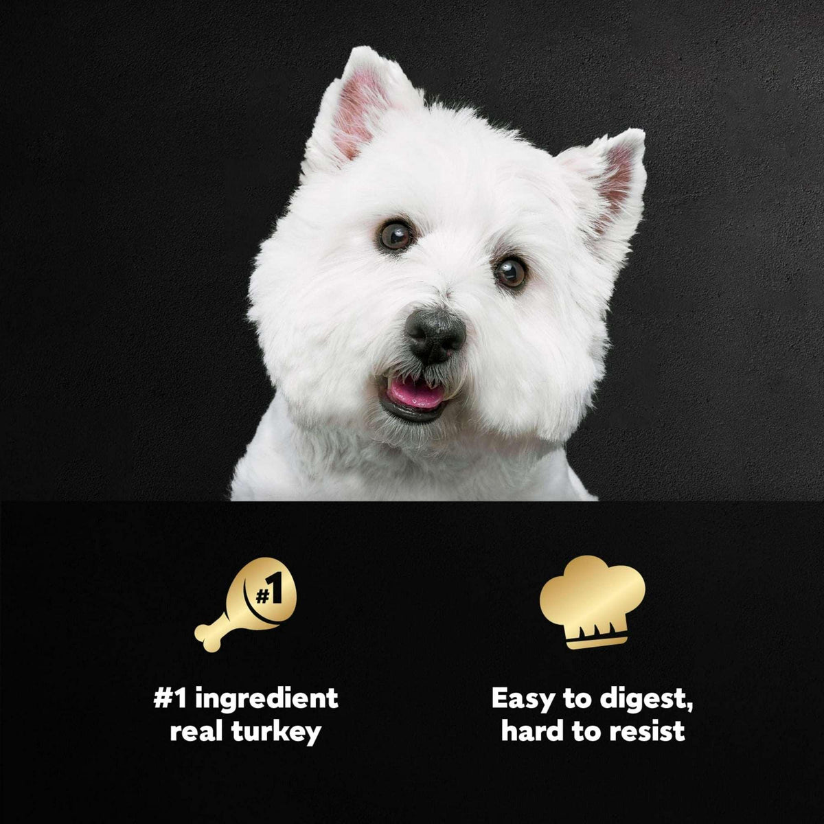(3 pack) Cesar Filets in Gravy Turkey Recipe Flavor Adult Wet Dog Food, 3.5 oz Tray