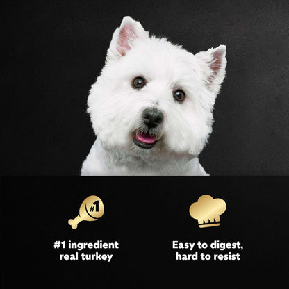 (3 pack) Cesar Filets in Gravy Turkey Recipe Flavor Adult Wet Dog Food, 3.5 oz Tray