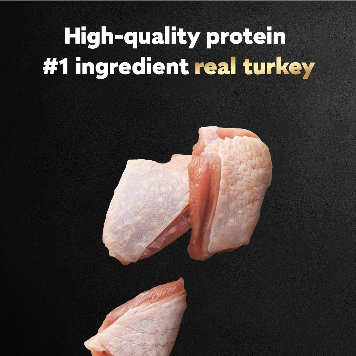(3 pack) Cesar Filets in Gravy Turkey Recipe Flavor Adult Wet Dog Food, 3.5 oz Tray