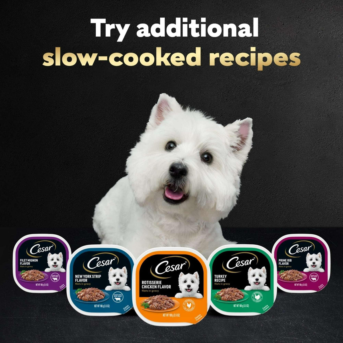 (3 pack) Cesar Filets in Gravy Turkey Recipe Flavor Adult Wet Dog Food, 3.5 oz Tray