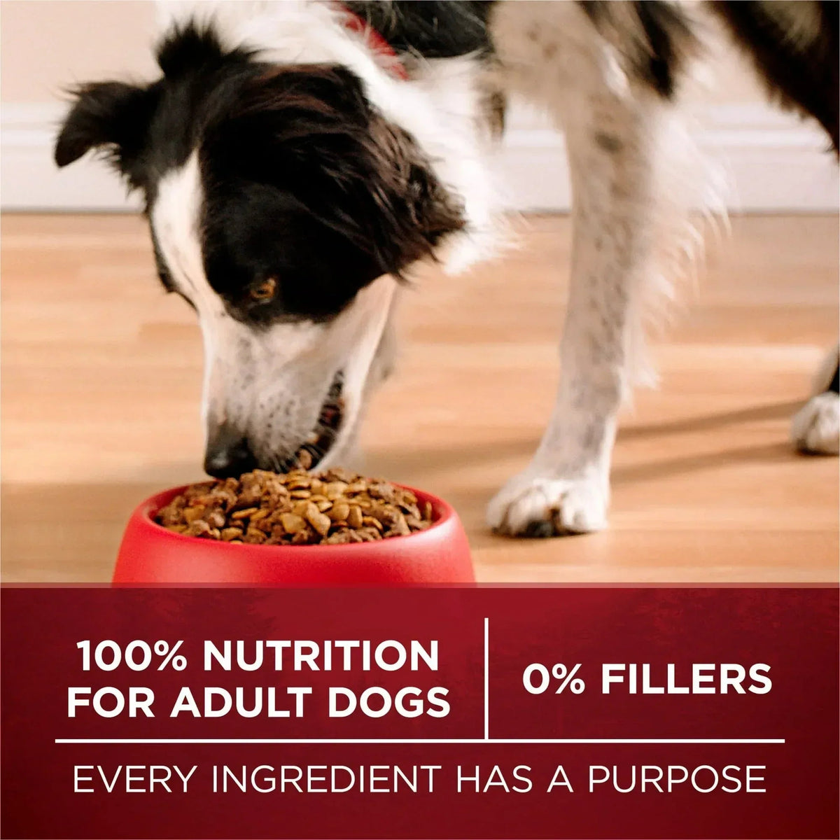 Purina One True Instinct Dry Dog Food for Adult Dogs, High Protein Real Turkey & Venison, 15 lb Bag