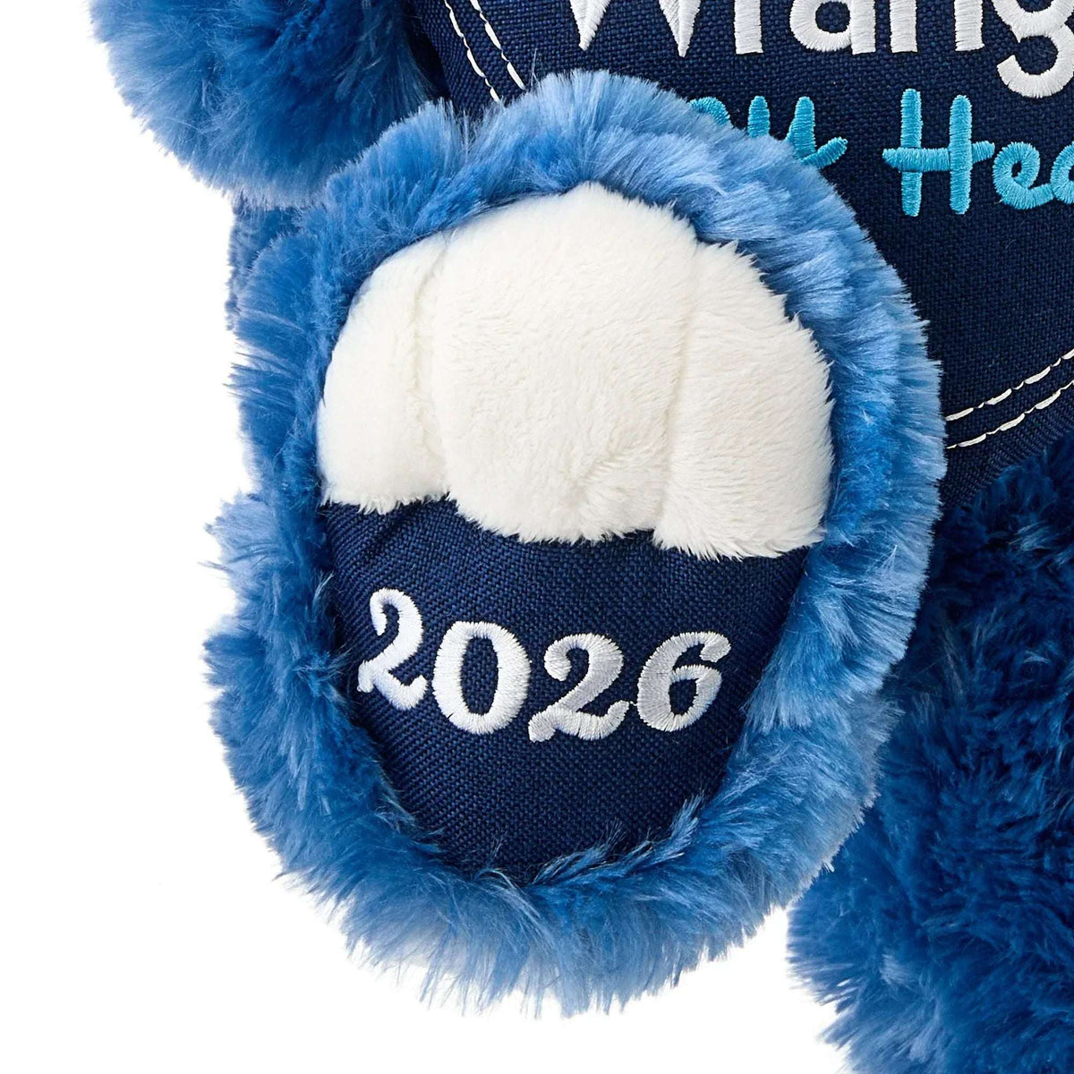 Large Sweetheart You Wrangled My Heart Teddy Bear Plush, Blue, 21", Valentine's Day by Way To Celebrate