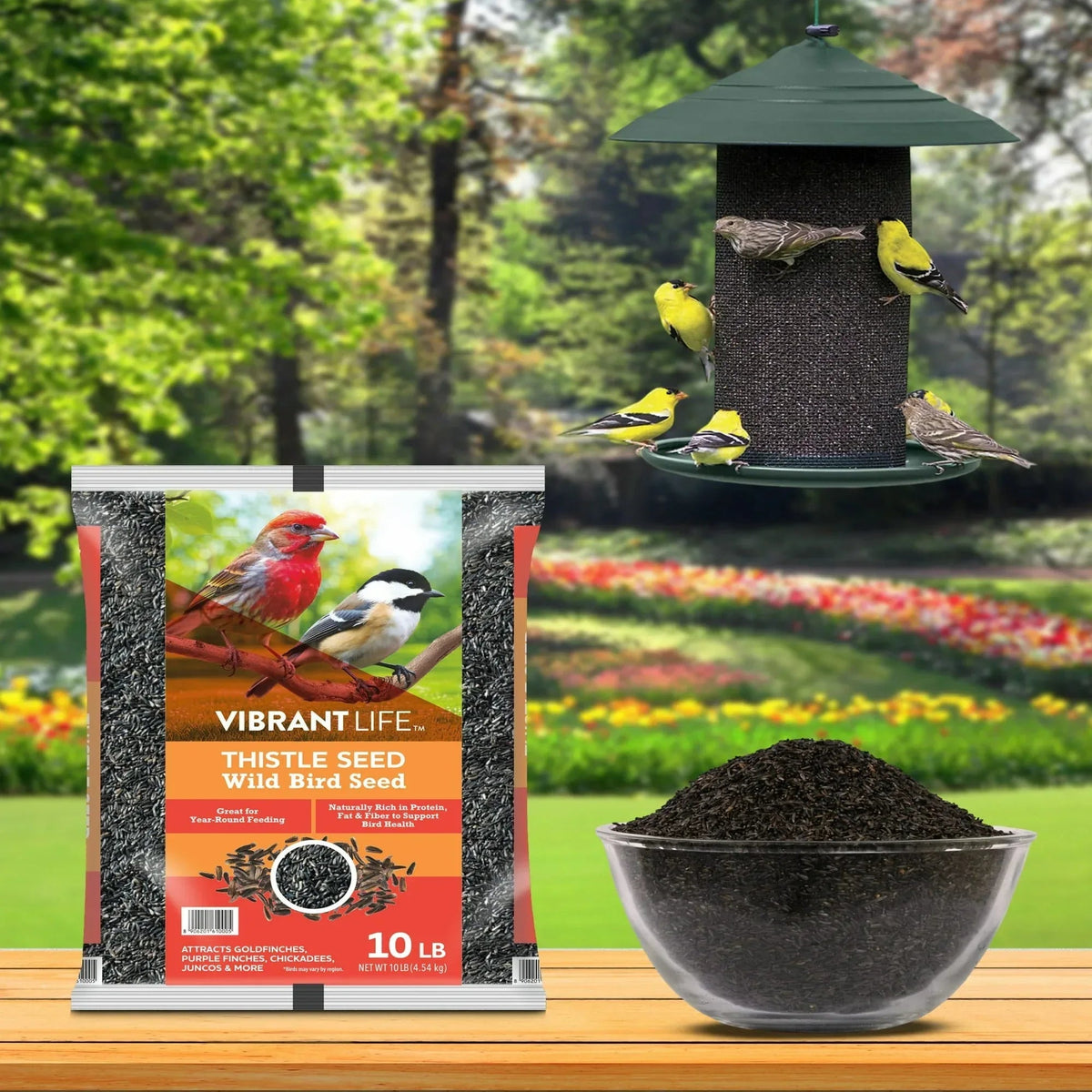 Vibrant Life Nyjer Thistle Seed Wild Bird Food for Finches, 10 lb Bag